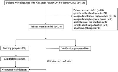 Development and Validation of a Nomogram for Predicting the Risk of Bell's Stage II/III Necrotizing Enterocolitis in Neonates Compared to Bell's Stage I